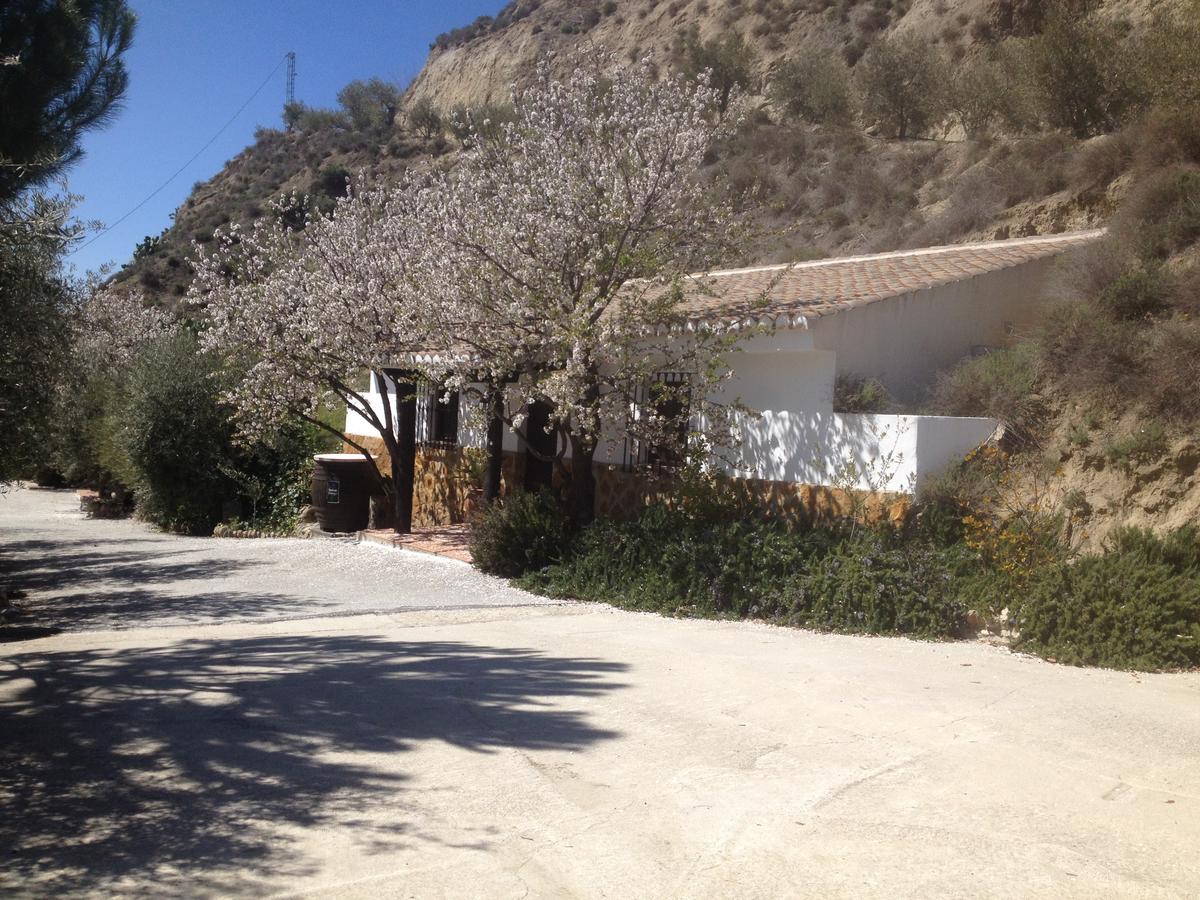 Cortijo Pilongo Apartment Monachil Exterior photo